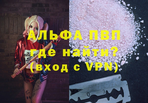 гашик Лабытнанги