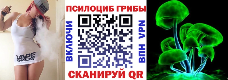 Галлюциногенные грибы Psilocybine cubensis  Куртамыш 